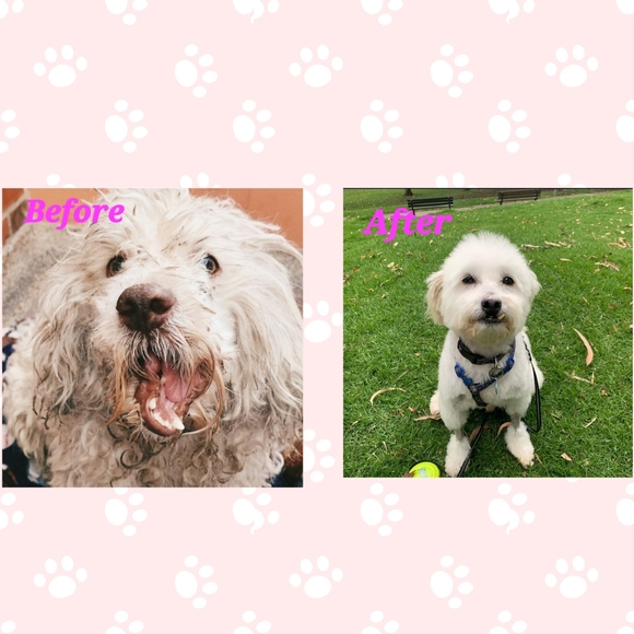 Meet your Posher, Bryn - Picture 12 of 17